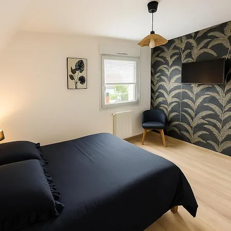 Proche Europa-park & Rulantica - 6 Pers Rhinau